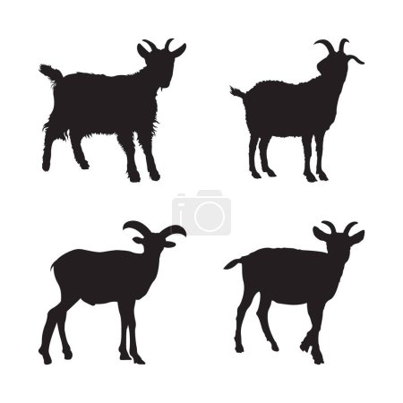 Illustration for Silhouettes of Male Goats with Horns. - Royalty Free Image