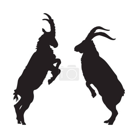Chèvres mâles debout pour lutter contre les silhouettes.