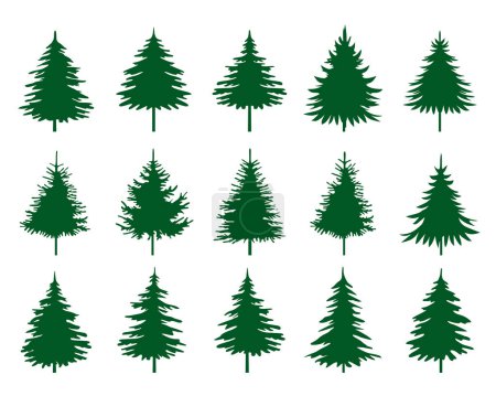 Illustration for Green Spruce Trees. Winter season design elements and simply pictogram. Set Isolated vector Christmas Tree Icons and Illustration. - Royalty Free Image