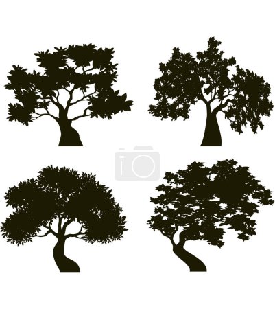 Photo for Shape of Black Trees with Leaves. Vector outline Illustration. Plant in Garden. Bonsai. - Royalty Free Image