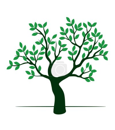 Photo for Shape of Green Tree with Leaves. Vector outline Illustration. Plant in Garden. - Royalty Free Image