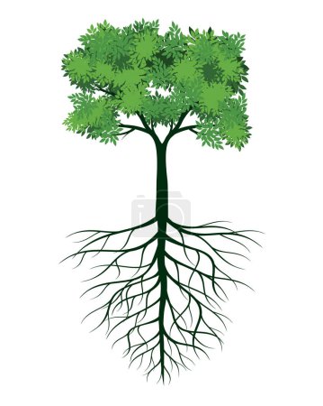 Photo for Spring Tree with Leaves and Roots. Vector outline Illustration. - Royalty Free Image