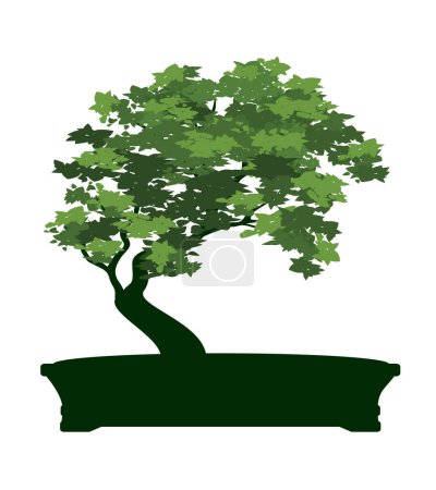 Photo for Shape of Spring Tree with Leaves in Pot. Vector outline Illustration. Plant in Garden. Bonsai. - Royalty Free Image