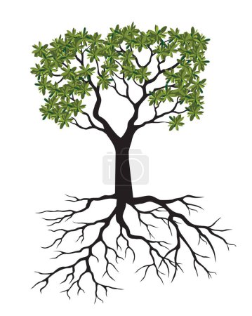 Photo for Green Tree with Roots. Vector outline Illustration. - Royalty Free Image