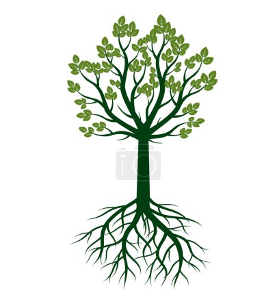 Photo for Green vector Tree with Roots. Outline illustration - Royalty Free Image
