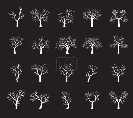 Photo for Set of white Trees. Vector outline Illustration. Plant in Garden. - Royalty Free Image