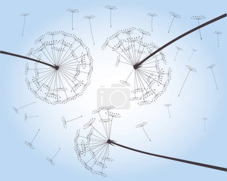 Illustration for Flying Seeds. Dandelion flower on blue sky. Vector outline illustration. - Royalty Free Image
