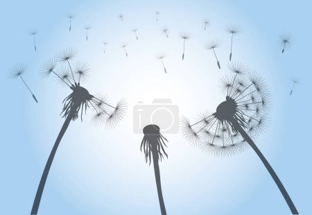 Illustration for Flying Seeds. Dandelion flower on blue sky. Vector outline illustration. - Royalty Free Image