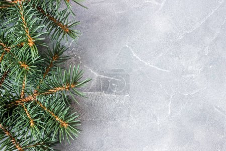Photo for Spruce branches on concrete background. Holiday banner, postcard, invitation. The concept of New Year and Christmas. Copyspace. - Royalty Free Image