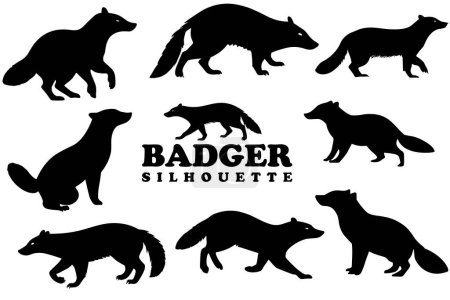 Badger silhouette collection. Set of black Badger silhouette. Badger silhouette set.