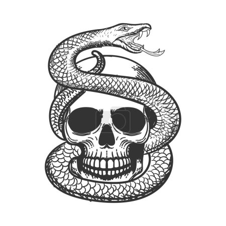 Ein menschlicher Schädel mit Giftschlange und auf weißem Hintergrund Illustration Vector