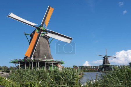 Foto de Molino de viento histórico Het Jonge Schaap en el museo al aire libre Zaanse Schans en Zaandam. Provincia de Holanda Septentrional en Holanda - Imagen libre de derechos