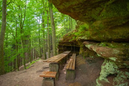 Téléchargez les photos : Monument naturel Grotte de l'ours supérieur sur le rocher Rodalber-randonnée-sentier à Rodalben. Région Palatinat dans l'État fédéral de Rhénanie Palatinat en Allemagne - en image libre de droit
