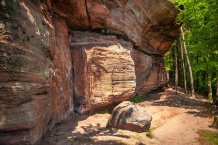 Téléchargez les photos : Monument naturel Saufelsen sur le sentier rocheux Rodalber à Rodalben. Région Palatinat dans l'État fédéral de Rhénanie Palatinat en Allemagne - en image libre de droit