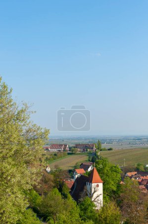 Foto de Paisaje con viñedos y paisaje urbano de Leinsweiler, en el fondo la llanura del Alto Rin. Región Palatinado en el estado federal de Renania-Palatinado en Alemania - Imagen libre de derechos