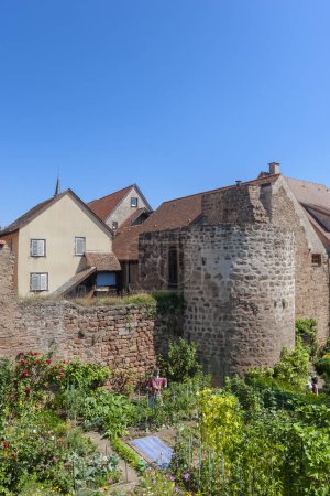 Téléchargez les photos : Une partie des remparts historiques le long de la rue Rem Marechal Joffre à Obernai. Département du Bas-Rhin en région Alsace - en image libre de droit