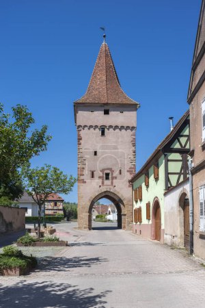 Téléchargez les photos : Porte historique du Lion à Rosheim. Département du Bas-Rhin en région Alsace - en image libre de droit