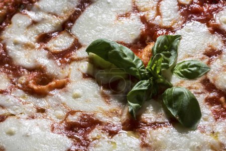 Foto de Detalle de pizza redonda con tomate y mozzarella con hojas de albahaca en el centro - Imagen libre de derechos
