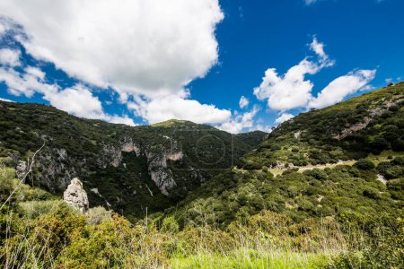 Foto de Hermoso paisaje de montaña verde con fondo de cielo azul - Imagen libre de derechos