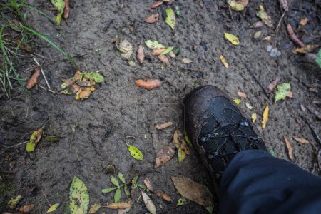 Photo for A closeup shot of hiking boots in the forest - Royalty Free Image