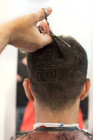 Photo for A hairdresser cutting a man's hair - Royalty Free Image