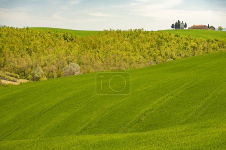 Photo for Beautiful landscape, countryside, italy - Royalty Free Image