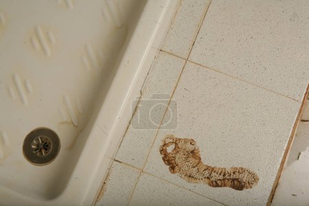Photo for Mud footprint in bathroom - Royalty Free Image