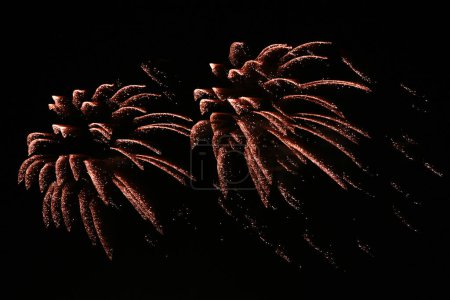 Foto de Fuegos artificiales en el cielo oscuro - Imagen libre de derechos
