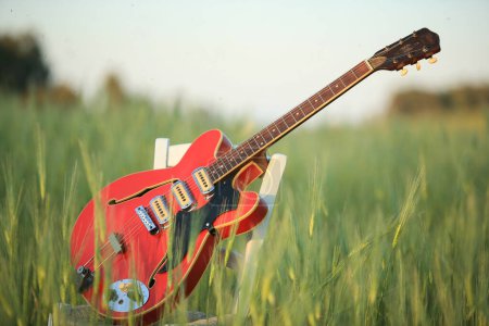 Téléchargez les photos : Guitare sur l'herbe - en image libre de droit