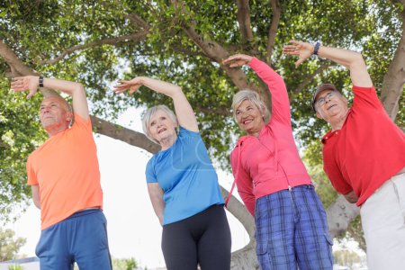 Photo for Senior group exercising in park - Royalty Free Image
