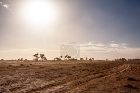 Foto de Una hermosa toma de un camino en el desierto - Imagen libre de derechos