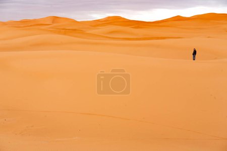 Photo for Sand dunes in the Sahara desert - Royalty Free Image