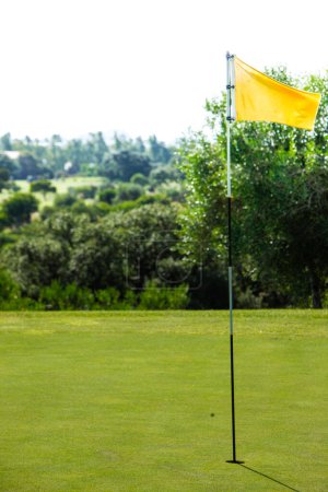 Téléchargez les photos : Terrain de golf avec drapeau - en image libre de droit