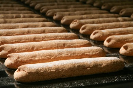 Téléchargez les photos : Production de biscuits savoiardi - en image libre de droit