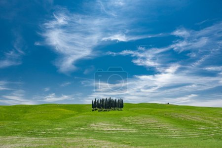 Photo for Landscape with green fields and hills on a sunny day in tuscany, italy. - Royalty Free Image