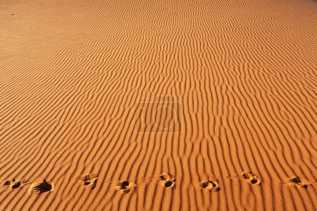 Foto de Panorama del paisaje desértico en Marruecos - Imagen libre de derechos
