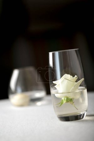 Téléchargez les photos : Vin blanc dans un verre sur fond blanc - en image libre de droit