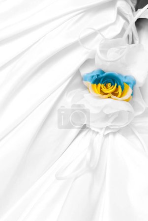 Téléchargez les photos : Tissu de soie blanc avec fleur jaune et bleue - en image libre de droit