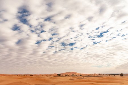 Téléchargez les photos : Dunes de sable dans le désert du sahara - en image libre de droit