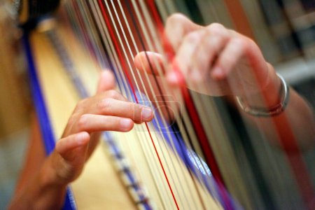 Téléchargez les photos : Détail des mains jouant de la harpe - en image libre de droit