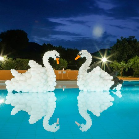 Foto de Cisnes hechos de globos en la piscina por la noche - Imagen libre de derechos