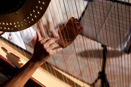 Photo for Close up of man playing the harp - Royalty Free Image