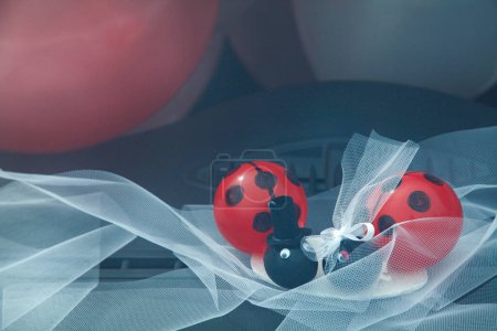 Photo for Wedding veil and accessories, cute ladybugs - Royalty Free Image