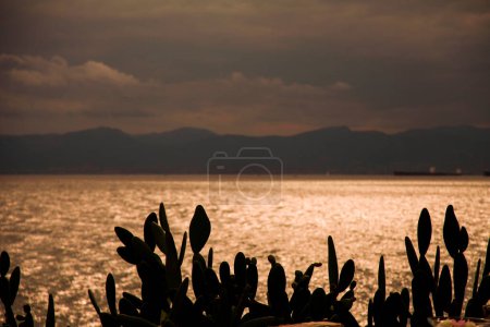 Photo for Sunset over a lake - Royalty Free Image