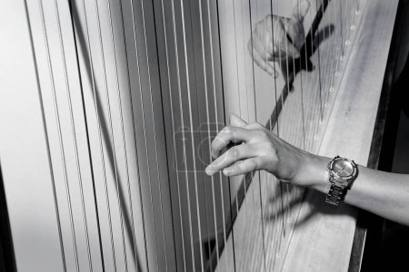 Téléchargez les photos : Photo en noir et blanc des mains jouant de la harpe - en image libre de droit