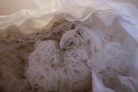 Photo for Abstract background of smoke - Royalty Free Image