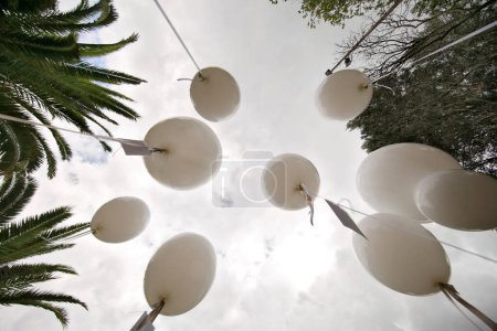 Foto de Vista de cerca de la decoración hermosa y festiva de la boda, vista de ángulo bajo de globos blancos - Imagen libre de derechos