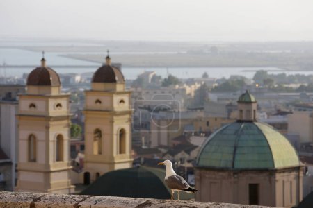 Foto de Hermosa gaviota sobre el fondo del panorama de la ciudad - Imagen libre de derechos