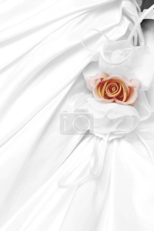 Téléchargez les photos : Beau tissu de soie et fleur de rose - en image libre de droit