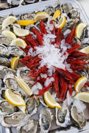 Photo for Fresh oysters with ice - Royalty Free Image